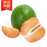 京鮮生 翡翠青柚 紅心柚 1粒裝 單果1.5斤起 生鮮水果 曬單實拍圖