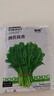 山東壽光蔬菜種子大全香菜菜種青菜番茄菠菜西瓜小蔥生菜菜籽 農家茴香種子1000粒 曬單實(shí)拍圖
