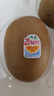 佳沛（zespri）新西蘭  陽光金奇異果10粒禮盒巨大果單果約144-175g 水果 獼猴桃 曬單實拍圖
