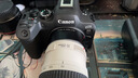 佳能（Canon）EOS 系列 單機(jī)身 二手單反相機(jī) 高清照相機(jī) 顏色可參考質(zhì)檢報(bào)告 佳能 EOS R6 機(jī)身 曬單實(shí)拍圖