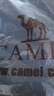 駱駝（CAMEL）冰感防曬速干七分褲女彈力針織運動褲子 J25BAYL6055 幻影黑 XXL 曬單實拍圖