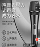先科（SAST）ok-183有線麥克風(fēng) 家庭KTV演唱卡拉OK會議演講家用臺式電腦高品質(zhì)全金屬動(dòng)圈話筒 有線話筒 曬單實(shí)拍圖