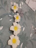 璇洛臻品 雞蛋花發(fā)夾耳邊發(fā)夾夏日頭花夾裝飾夾發(fā)飾邊夾女側(cè)邊夾子頭飾 7cm2個裝+5cm2個裝 曬單實拍圖