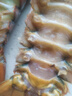百鮮洽特大龍蝦波士頓龍蝦活凍波龍大龍蝦海鮮水產(chǎn)冰鮮冷凍年貨禮盒 2只裝（450g-550g/只）實惠 曬單實拍圖