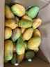 京喜加現摘小臺農芒果新鮮特產(chǎn)水果  輕微花皮半熟果發(fā)貨 帶箱9斤單果100克以上 曬單實(shí)拍圖