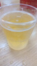 東鵬特飲【新日期】東鵬特飲維生素功能性飲料500ml*24瓶運(yùn)動(dòng)提神熬夜必備 東鵬大金瓶500ml*24瓶 曬單實(shí)拍圖