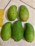 京鮮生 廣西生吃大青芒 大果4.5斤裝單果400g起 生鮮水果源頭直發(fā) 曬單實(shí)拍圖