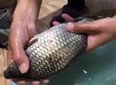 久巖鋼絲失手繩高彈自動(dòng)伸縮魚竿大物防丟繩合金雙扣臺(tái)釣魚路亞防脫繩 山頂見-失手繩【1.5m】 其他 曬單實(shí)拍圖