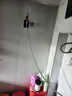 美菱（MeiLing）即熱式電熱水器變頻恒溫家用衛(wèi)生間加熱器速熱即熱免儲水家用抗菌小型洗澡器超薄淋浴熱水寶洗澡機(jī) 6000W 升級恒溫【抗菌抑菌+漏保開關(guān)】熱銷款 曬單實(shí)拍圖