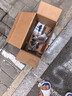 瓦爾塔汽車(chē)電瓶星標EFB啟停12v鉛酸蓄電池 上門(mén)安裝以舊換新 EFB-T7福特福睿斯?？怂逛J界蒙迪歐吉利博越 曬單實(shí)拍圖