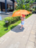 蕉下（beneunder）太陽傘防紫外線夏季遮陽傘晴雨兩用傘雙層三折防曬傘防曬小黑傘 【經(jīng)典大花】花椿 曬單實拍圖