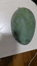 【新鮮上市】正宗攀枝花凱特芒果新鮮水果 帶箱2斤200g+ 曬單實拍圖