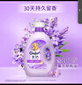 金紡衣物調香大師香氛香水護理柔順劑薰衣草8斤 防靜電除味留香校服 曬單實(shí)拍圖