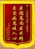高檔金絲絨錦旗加厚定制感謝醫生送老師幼兒園駕校教練月嫂仙家旌 加厚金絲絨金屬配件+鍍金字+錦筒 80*1.2米（大號） 曬單實(shí)拍圖