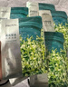 珀萊雅（PROYA）面膜 小球藻面膜 保濕海藻面膜補水面膜女男20片 曬單實拍圖