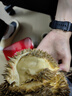 悠軼金枕榴蓮新鮮果【多地次日達】帶殼巴掌金枕頭泰國水果整箱 凈4-5斤優(yōu)質(zhì)果【狠劃算】1-2個果共包5房 50年甄選老樹果【出肉率更高】 曬單實拍圖
