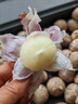 獨頭蒜紫皮云南2025新蒜大祘干蒜獨蒜大果現(xiàn)挖大蒜頭 5斤 優(yōu)選大果(30mm左右) 曬單實拍圖