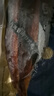 東水 蒲燒鰻魚400g 曬單實(shí)拍圖