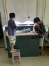 德克（D&A）溪流缸野采造景大型立式客廳生態(tài)底濾魚缸一體缸自循環(huán)免換水全套 庫里藍(lán)（標(biāo)配款） 120x50x125cm 曬單實拍圖