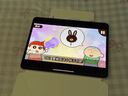 Apple/蘋果 iPad Pro 11英寸 M4芯片 2024年新款平板電腦(256G WLAN版/MVV93CH/A)銀色 曬單實拍圖