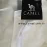 駱駝（CAMEL）運動速干T恤透氣寬松戶外休閑圓領情侶短袖夏季男女同款，紫色2XL 曬單實拍圖