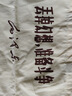 楠洛手提新青年帆布包學(xué)生帆布袋大容量單肩斜挎收納包拎包 丟掉幻想準(zhǔn)備斗爭 曬單實(shí)拍圖