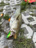 京厽薄背新款vib路亞假餌加強鉤鐵板遠投釣鱸魚鱖魚翹嘴專用魚餌 10只vib混色 3.5g 曬單實拍圖