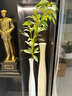 貝漢美（BHM）現(xiàn)代入戶玄關(guān)裝飾擺件工藝品陶瓷花瓶客廳電視柜插花高檔輕奢大氣 豎高細長白色兩件套+花藝 曬單實拍圖