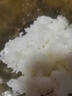 美的低糖電飯煲1-2-3人 米湯分離迷你電飯鍋2升 降還原糖44.6%小型瀝米飯鍋 多功能柴火飯微壓煮飯鍋 2L 【食品級不粘白玉晶釜+304不銹鋼瀝糖釜】 曬單實(shí)拍圖