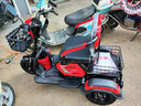 鳳凰（Phoenix）炫酷電動(dòng)三輪車家用小型老年代步電動(dòng)車三輪車?yán)先诵蓍e電瓶車 【600W】48V12A鉛酸+續(xù)航約40里 曬單實(shí)拍圖