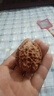 青皮文玩核桃野生麻核桃四座樓獅子頭白獅子管帽南疆石滿天星三菱 青皮 店主隨緣款 【發(fā)2個(gè)】隨緣款一對(duì) 曬單實(shí)拍圖