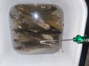 南北大羅非小藥黑水蛋奶鳳梨香精黑坑滑口魚(yú)餌桔香醬狂口餌料添加劑 鳳梨醬（500ml） 曬單實(shí)拍圖