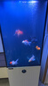 漢霸2025新款魚缸客廳家用底濾小型超白玻璃造景水族箱智能落地 冰川白【底濾*到手就養(yǎng)魚】 40x40x125cm 曬單實拍圖