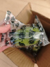 香水檸檬新鮮水果海南無(wú)籽青檸檬水果奶茶店專用 海南香水檸檬帶箱2斤單果60g起 曬單實(shí)拍圖