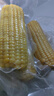 蓮山九鮮新鮮東北甜糯玉米棒黏粘糯苞米新鮮甜玉米真空包裝 250g*5支黃糯玉米 曬單實(shí)拍圖