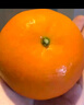 廣西沃柑水果新鮮當(dāng)季整箱一級沙糖蜜橘柑橘砂糖橘子桔子武鳴 【中果】果徑60-65mm 帶箱10斤（JD/順豐送上門） 曬單實拍圖