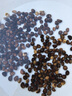 IDEAL理想農(nóng)業(yè) 大葉空心菜種子陽(yáng)臺(tái)盆栽通心菜雍菜夏季耐濕熱蔬菜種籽 曬單實(shí)拍圖