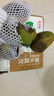 京覓四川凱特芒果新鮮水果凈重8斤單果410g+源頭直發(fā)包郵 曬單實(shí)拍圖