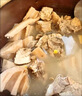 正宗洪湖蓮藕新鮮現(xiàn)挖糯米藕煲湯粉糯燉湯湖北特產(chǎn)九孔粉藕紅蓮藕 3斤 曬單實拍圖