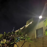 LED投光燈戶外路燈庭院燈防水照明燈室外壁燈大功率工業(yè)照明射燈 380w1000燈珠-照250平2只裝 無規(guī)格 曬單實(shí)拍圖