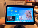 Apple/蘋果 iPad mini (A17 Pro) 8.3英寸 平板電腦(256G WLAN版/mini7/MXNC3CH/A)藍色 曬單實拍圖
