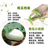 現(xiàn)摘白南瓜當(dāng)季白吊瓜新鮮蔬菜時(shí)令南瓜北瓜干瓜包餃子白玉瓜絞瓜 5斤 （果型隨機(jī)） 曬單實(shí)拍圖
