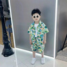 皮爾卡丹（pierre cardin）童裝男童套裝夏季2025新款兒童印花短袖休閑花襯衫沙灘服兩件套潮 椰子樹綠色aqoqqis 90 尺碼1~2歲【 80-90cm】 曬單實(shí)拍圖