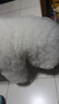 寶路狗糧全犬種通用全價糧成犬狗糧中小型犬牛肉味7.5kg【原料透明】 曬單實拍圖