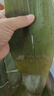 粽子葉30片干新鮮包粽子專用的大號(hào)野生竹箬端午老式材料商批發(fā) 30片中號(hào) 曬單實(shí)拍圖