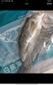 釣魚記開背海鱸魚1斤-1.3斤 三去凈重 冷凍 生鮮 魚類 海鮮水產(chǎn) 曬單實(shí)拍圖