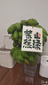 久歲伴兒童保暖褲男童加厚秋褲加高護(hù)腰護(hù)膝中大童寶寶秋冬校園打底褲子 深灰 180 /身高175-185體重135-145斤 曬單實(shí)拍圖
