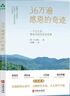 【官方正版】36萬遍感恩的奇跡 喚醒內心的善念 學用每一次感恩來創(chuàng)造人生幸福 官方正版 36萬遍感恩的奇跡 曬單實拍圖
