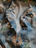 羅蒙唐裝男爸爸冰絲短袖中老年人夏季衣服爺爺夏裝套裝父親節(jié)生日禮物 淺藍(lán)色套裝 【上衣+褲子】 XL 【建議130-145斤】 曬單實(shí)拍圖