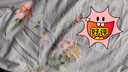 百麗絲水星家紡出品床上四件套純棉100%全棉四件套床品被套床單雙人套件1.8m床 曬單實(shí)拍圖